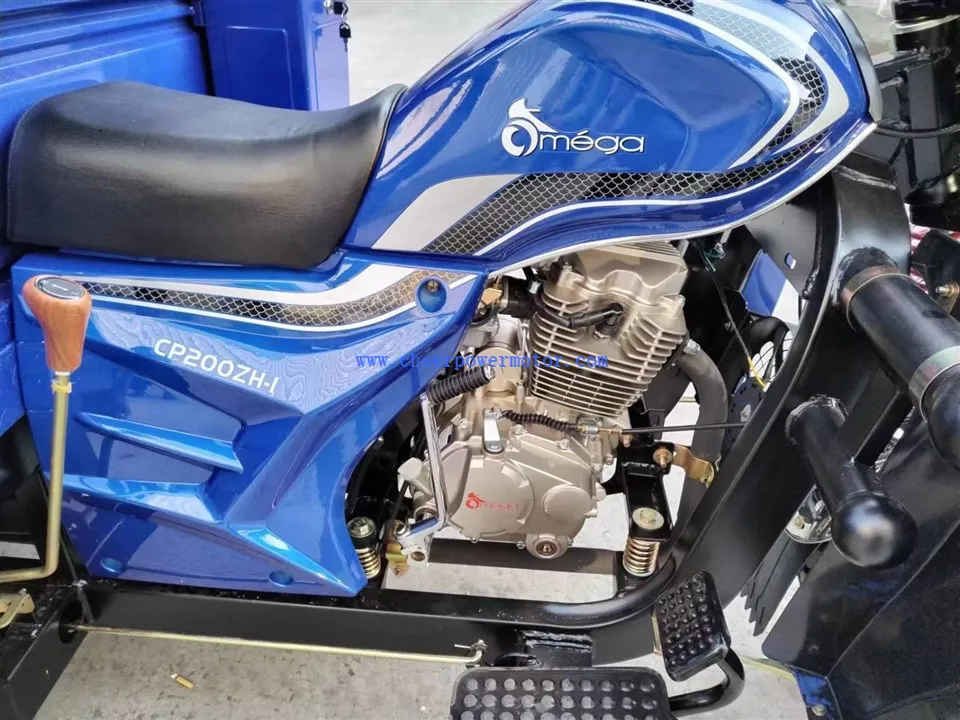 200cc Economical Sun Shield Cargo Tricycle (16)