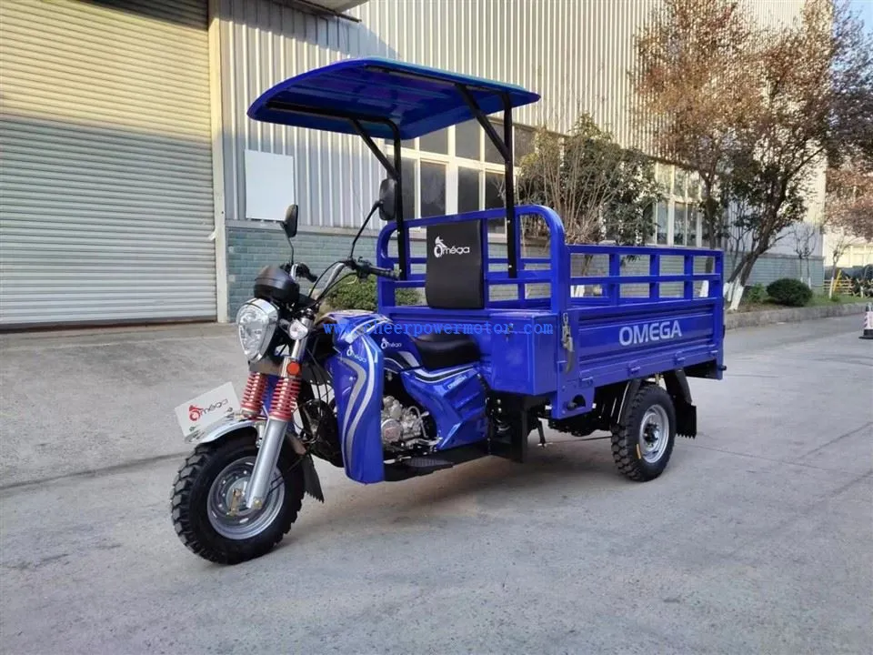 200cc Economical Sun Shield Cargo Tricycle (12)